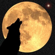 wolf-howling-at-the-moon